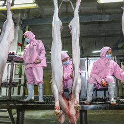 Esta foto muestra a trabajadores procesando carne de cerdo en una instalación en Huaian, en la provincia oriental china de Jiangsu. | Foto:AFP