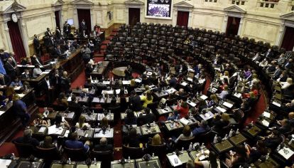 Máximo Kirchner durante la presentación de la Ley de envases en Diputados
