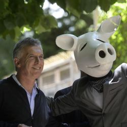 El ex presidente Mauricio Macri posa para una foto junto a un hombre con una máscara de cerdo, antes de emitir su voto durante las elecciones legislativas. | Foto:JUAN MABROMATA / AFP