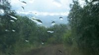 Las lluvias generalizadas mejoraron las reservas hídricas del país