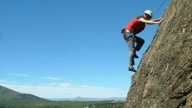 Esta herramienta está diseñada para que se pueda descargar y usar desde un teléfono celular.