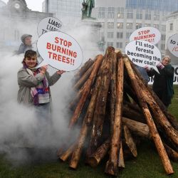 Activistas medioambientales sostienen pancartas mientras participan en una manifestación junto a una pila de 30 troncos de madera cerca del edificio del Parlamento Europeo en Bruselas. | Foto:JOHN THYS / AFP
