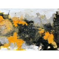 Renatta Art