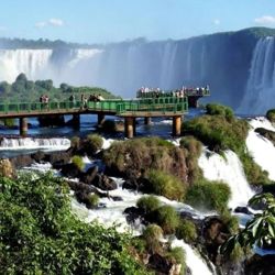 El hallazgo tuvo lugar en el Parque Nacional Iguazú.