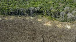 Deforestación en el Amazonas 20211119
