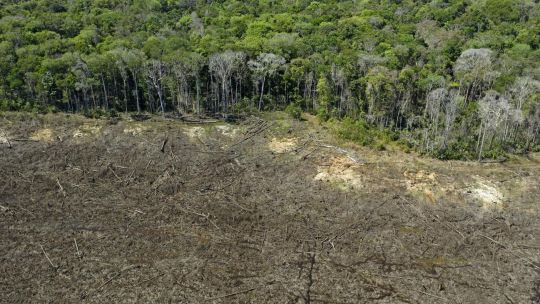Deforestación en el Amazonas 20211119