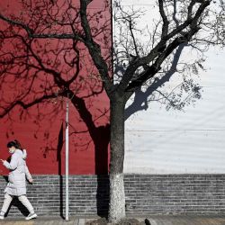 Una mujer pasa junto a un árbol en una calle de Beijing. China. AFP | Foto:AFP