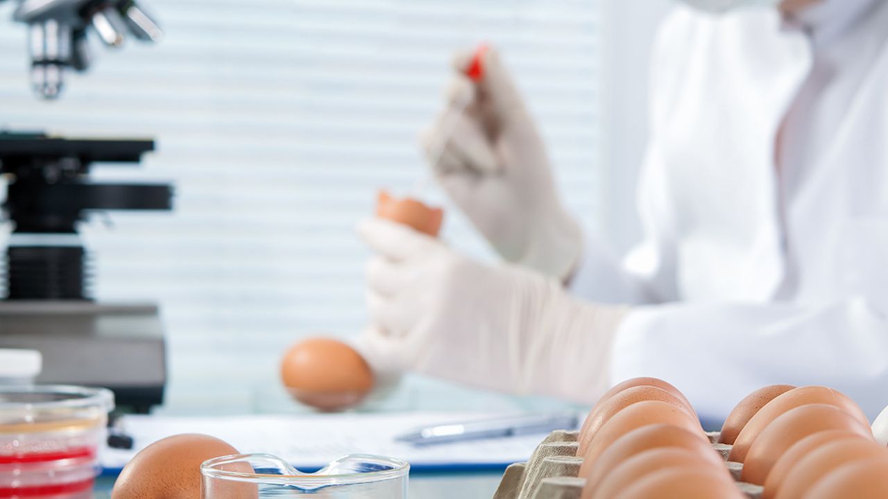 salmonella-20211123-1273942