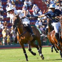 LOS “CENTENNIALS” BRILLAN EN PALERMO