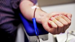 Donación médula ósea