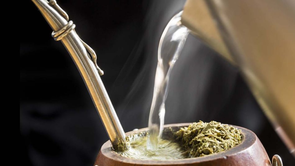 Yerba Mate-20211124