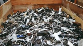 Lo que tienen en común estas políticas desarmistas es que provienen de gente que seguramente jamás disparó un arma.