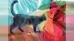 20211128_gatos_martatoledo_g