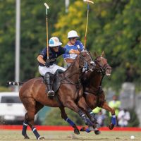 Otra tarde de gloria para Adolfo Cambiaso