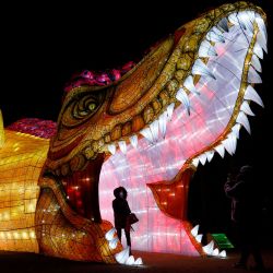 Una escultura gigante iluminada se exhibe durante el avance del Festival de la Luz del Jardín de las Plantas en París. | Foto:THOMAS SAMSON / AFP