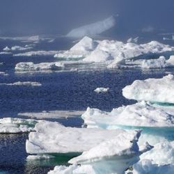 Entre las principales causas están el desprendimiento de los icebergs y el incremento de la temperatura del agua.