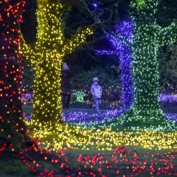 Imagen de personas observando las decoraciones lumínicas en el Jardín Botánico VanDusen, en Vancouver, Columbia Británica, Canadá. | Foto:Xinhua/Liang Sen