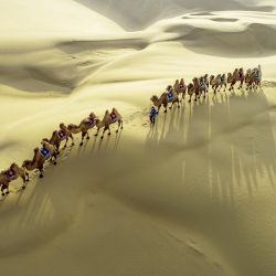 Vista aérea de una manada de camellos en el Desierto de Kubuqi, en la Región Autónoma de Mongolia Interior, en el norte de China. | Foto:Xinhua/Wang Zheng