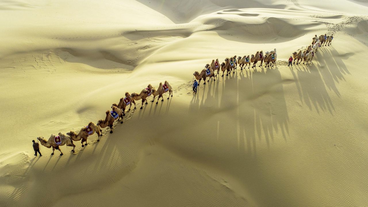 Vista aérea de una manada de camellos en el Desierto de Kubuqi, en la Región Autónoma de Mongolia Interior, en el norte de China. | Foto:Xinhua/Wang Zheng