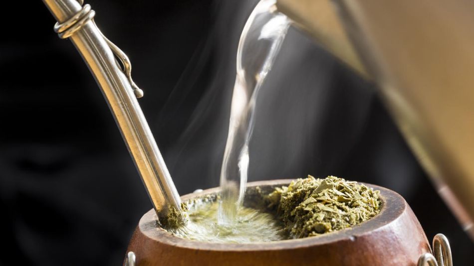 Yerba Mate 20211130
