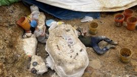 Se trata de un ejemplar de una especie nunca identificada hasta el momento.