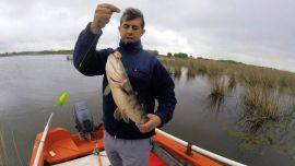 Antiguamente era una laguna que estaba cubierta de juncos y ortigas, pero la invasión de la carpa la fue limpiando naturalmente.