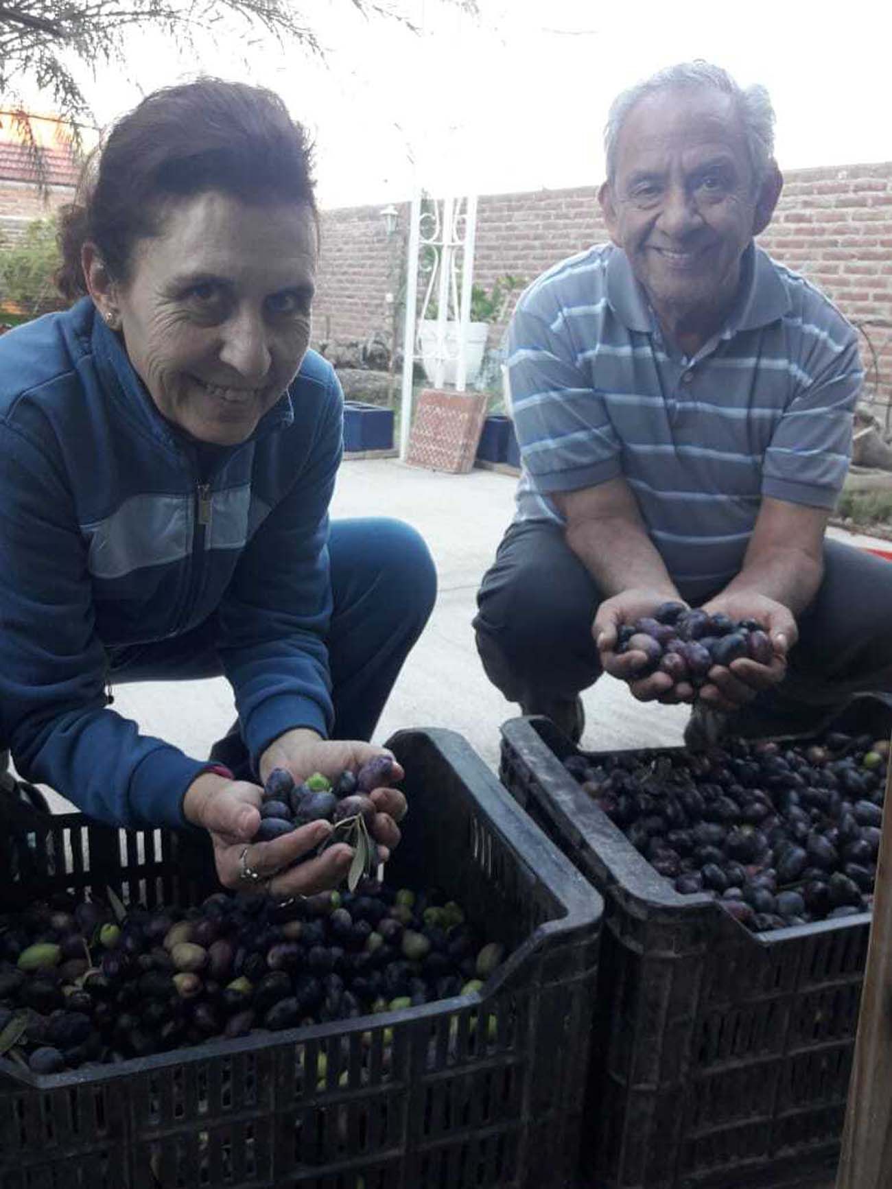 Agricultores Federados muestran cómo es su día a día