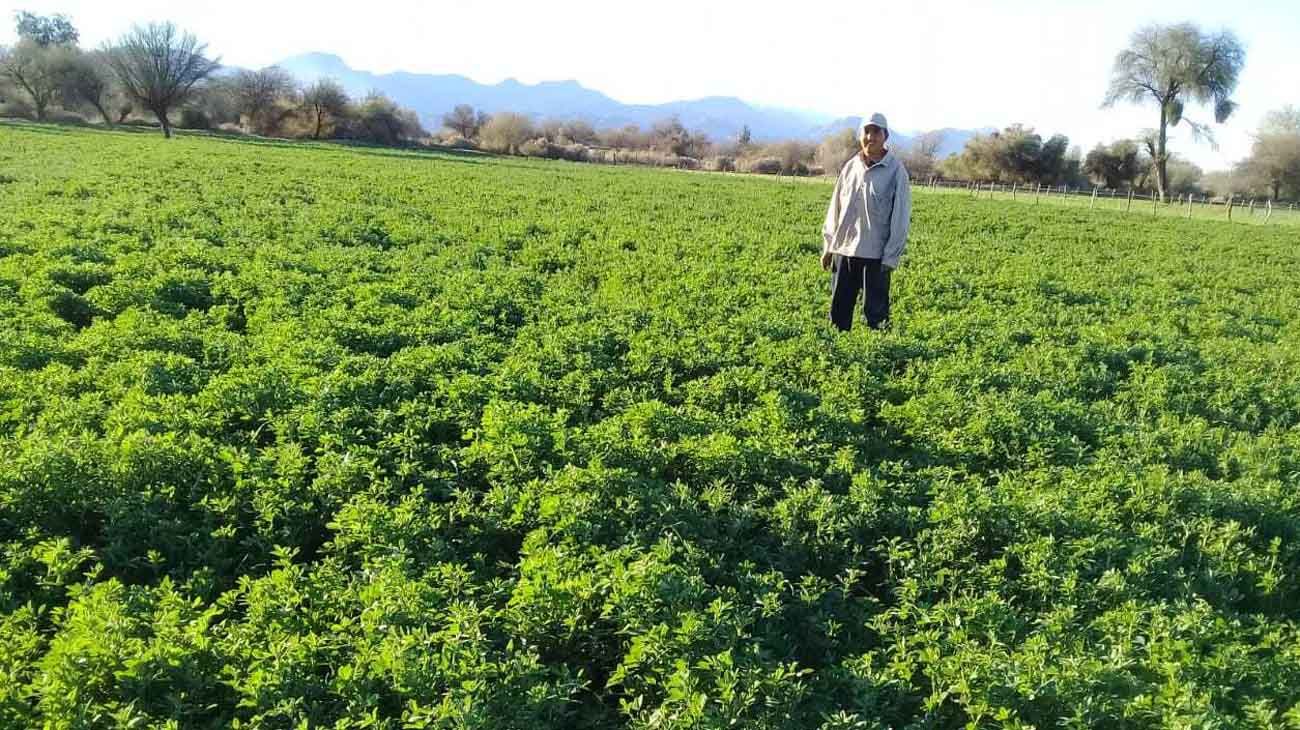 Agricultores Federados muestran cómo es su día a día