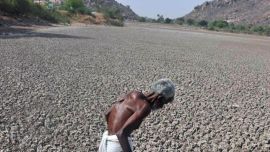 La escasa variedad genética, el estrés y el aceleramiento económico están propiciando el final abrupto del Homo Sapiens