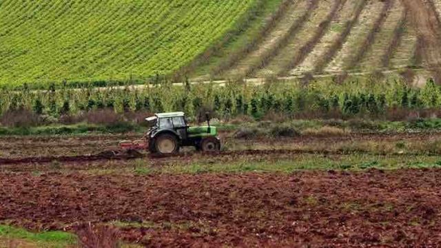 Agro en España