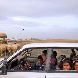 Los niños palestinos miran mientras los llevan a casa desde la escuela en la ciudad de Gaza. MOHAMMED ABED  | Foto:AFP