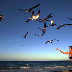 Un turista ruso alimenta pájaros en la playa del hotel Iberostar laguna azul en Varadero, provincia de Matanzas, Cuba. LAGE / | Foto:AFP