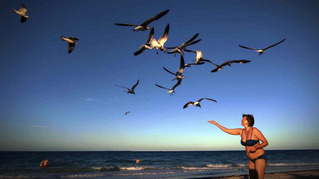 Un turista ruso alimenta pájaros en la playa del hotel Iberostar laguna azul en Varadero, provincia de Matanzas, Cuba. LAGE / | Foto:AFP