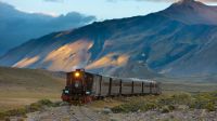 1312_trenes patagònicos