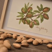 Nancy Silberberg: arte que permite retornar a la naturaleza