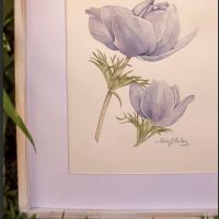 Nancy Silberberg: arte que permite retornar a la naturaleza