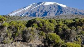 El calentamiento global está perturbando los ecosistemas de las montañas