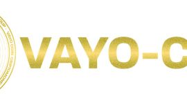 Descubriendo Vayo Coin, el token digital que la rompe en los medios