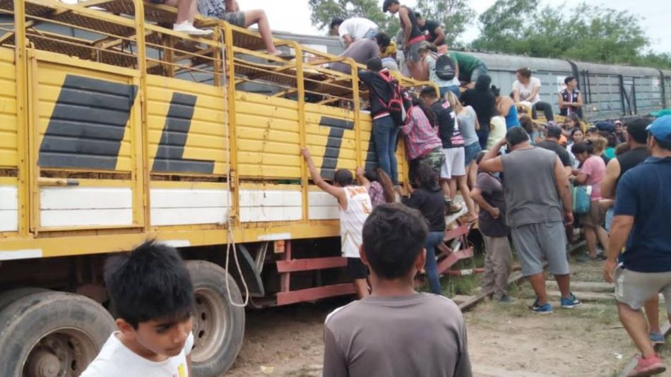 tren choco camion vacas faenaron animales g_20211214