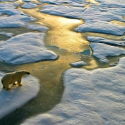 El Ártico se encuentra entre las regiones de más rápido calentamiento del mundo.