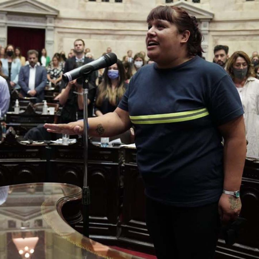 Quién es Natalia Zaracho, la primera diputada nacional cartonera | Perfil