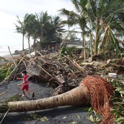 Un niño juega junto a unos cocoteros y plátanos arrancados en la ciudad costera de Dulag, en la provincia de Leyte, un día después del paso del súper tifón Rai. | Foto:Bobbie Alota / AFP