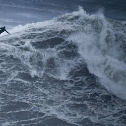 Un surfista monta una ola en la Praia do Norte en Nazare, Portugal. | Foto:PATRICIA DE MELO MOREIRA / AFP