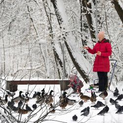 Una familia alimenta a los pájaros entre los árboles cubiertos de nieve después de una fuerte nevada en Moscú, Rusia. | Foto:ALEXANDER NEMENOV / AFP