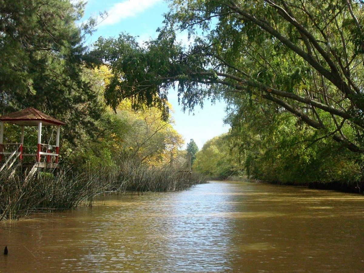 RadioProfile |  The Gods of the Corner