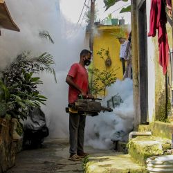 Un trabajador municipal fumiga una zona residencial como medida preventiva contra las enfermedades causadas por los mosquitos en Colombo, Sri Lanka. | Foto:AFP