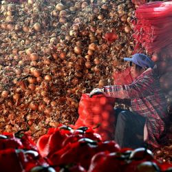Un trabajador empaca vegetales en un centro logístico, en Xi'an, en la provincia de Shaanxi, en el noroeste de China. Las autoridades de Xi'an han estado haciendo esfuerzos continuos para garantizar el suministro de vegetales en medio de la pandemia de la COVID-19 en curso. | Foto:Xinhua/Liu Xiao