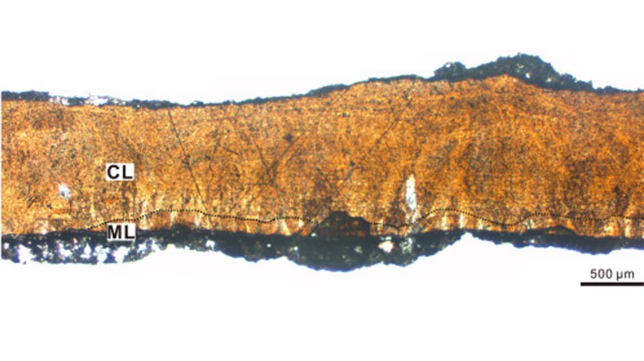 Cretaceous oviraptorid theropod dinosaur embryo is preserved in-ovo