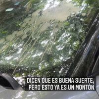 Benjamín Vicuña sufrió un accidente en su auto
