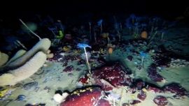 Utilizaron agua caliente para perforar dos agujeros de casi 200 metros de profundidad